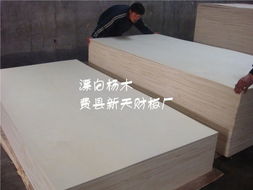 花紋楊木、膠合板、貼面板與櫥柜板 建筑裝飾材料的核心供應(yīng)商解析